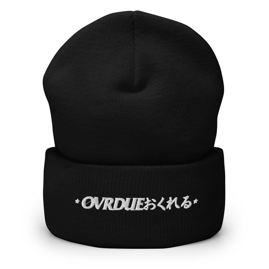 OVRDUE BEANIE HIRAGANA V2