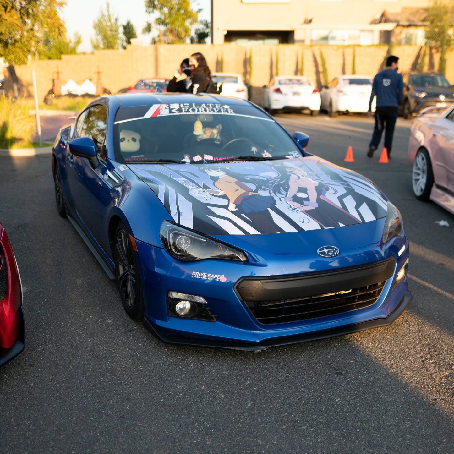 LATE FOREVER SUNSTRIP BANNER
