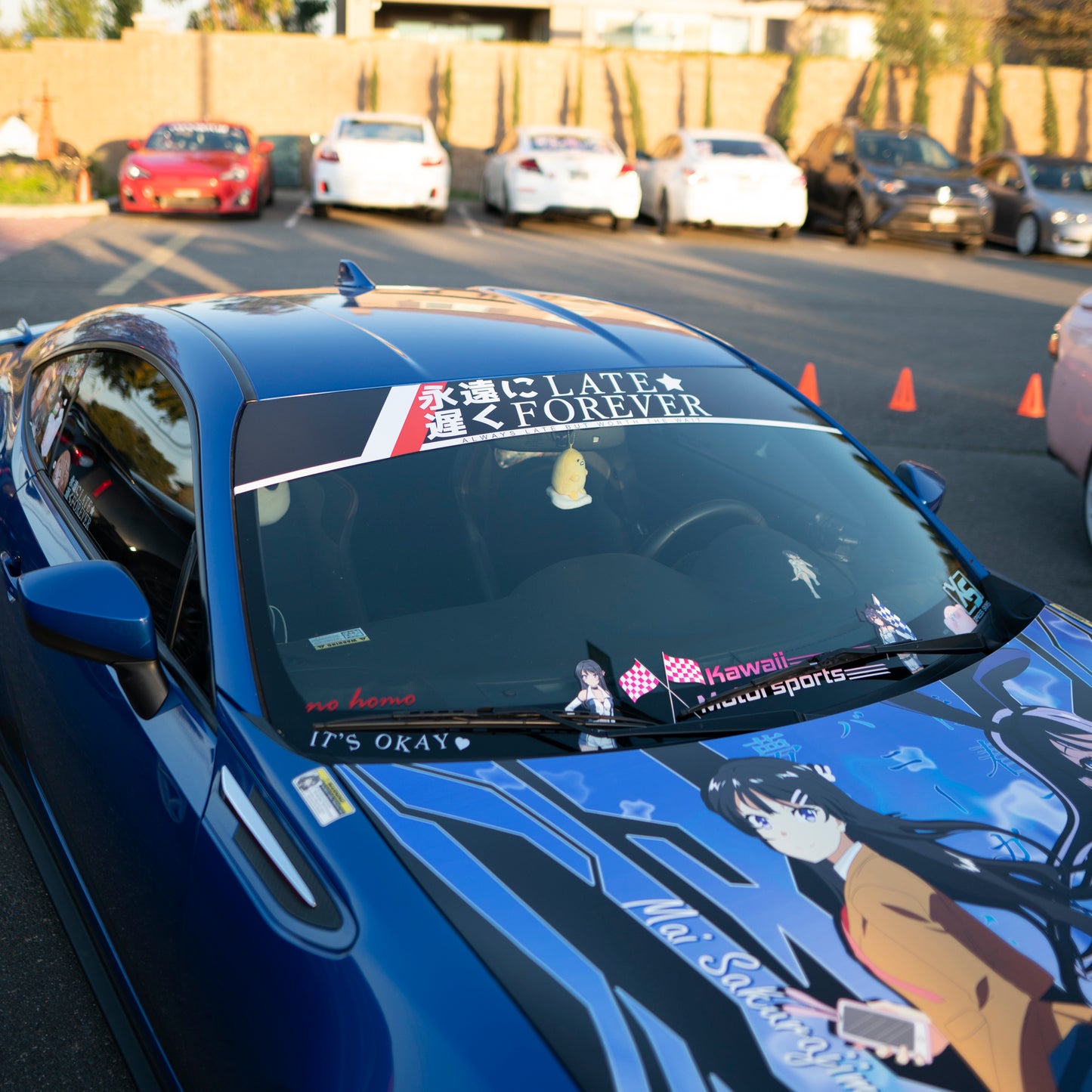 LATE FOREVER SUNSTRIP BANNER