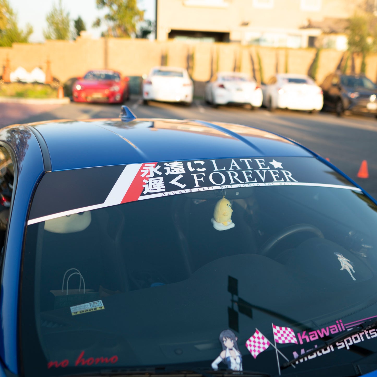 LATE FOREVER SUNSTRIP BANNER