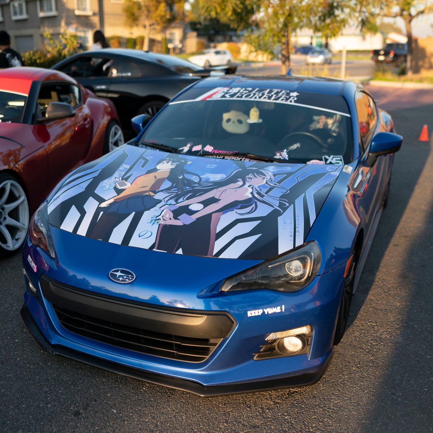 LATE FOREVER SUNSTRIP BANNER