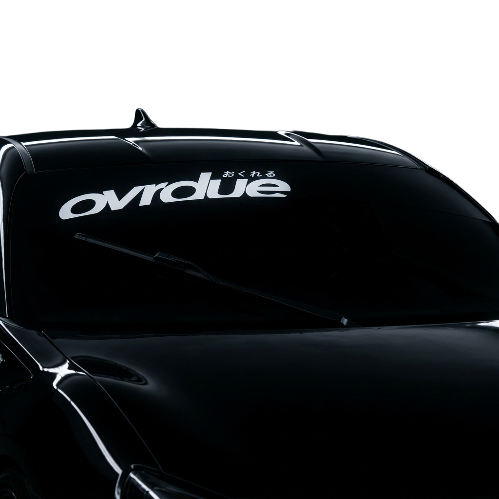 OVRDUE SUNSTRIP BANNER