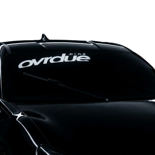 OVRDUE SUNSTRIP BANNER