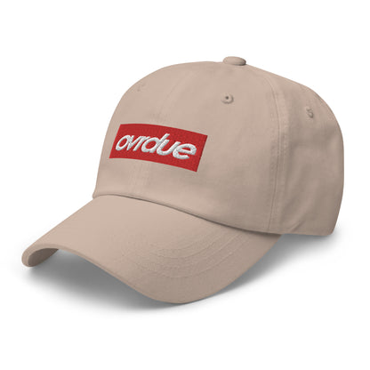 BOGO RED DAD HAT